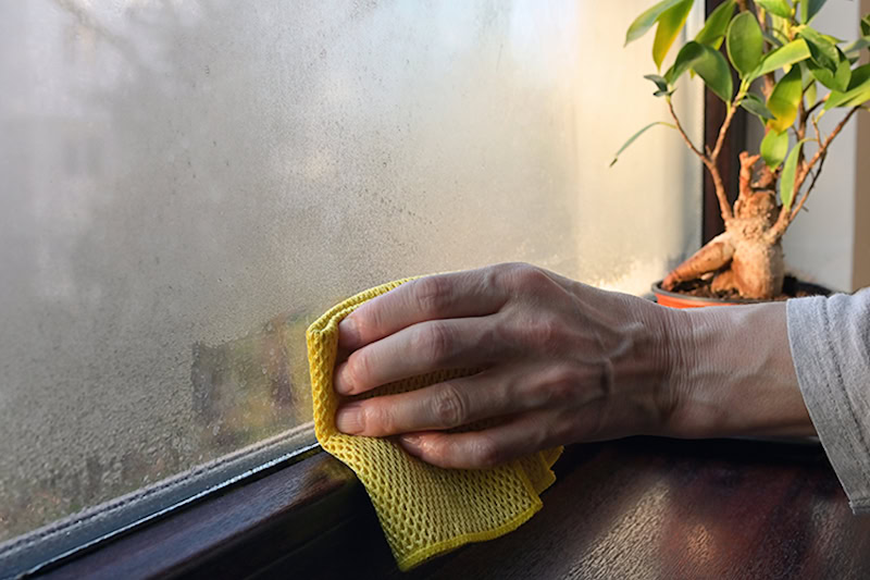 How Can You Manage Your Home’s Humidity? Person cleaning a window with a yellow rag.