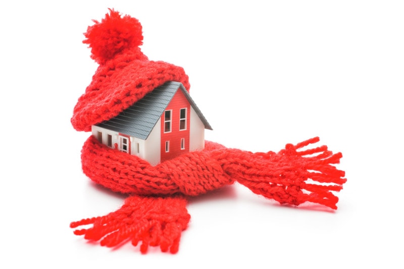 House wrapped in a red scarf wearing a matching hat.